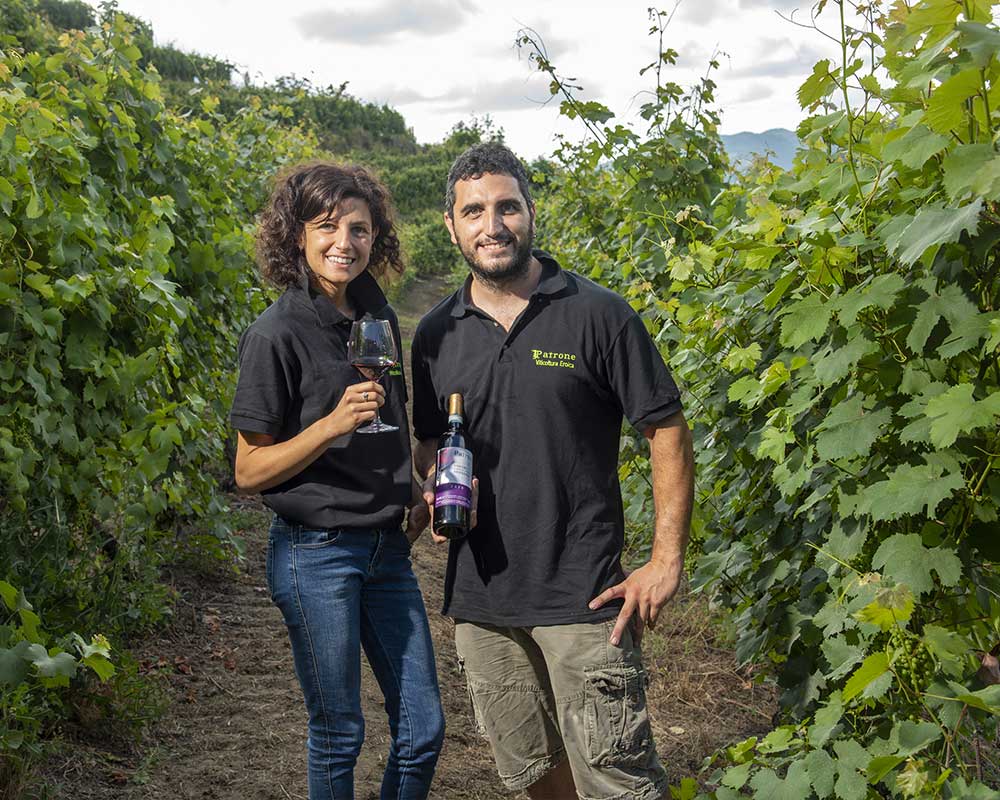 degustazioni-alta-langa-cantina degustazioni-alta-langa-cantina