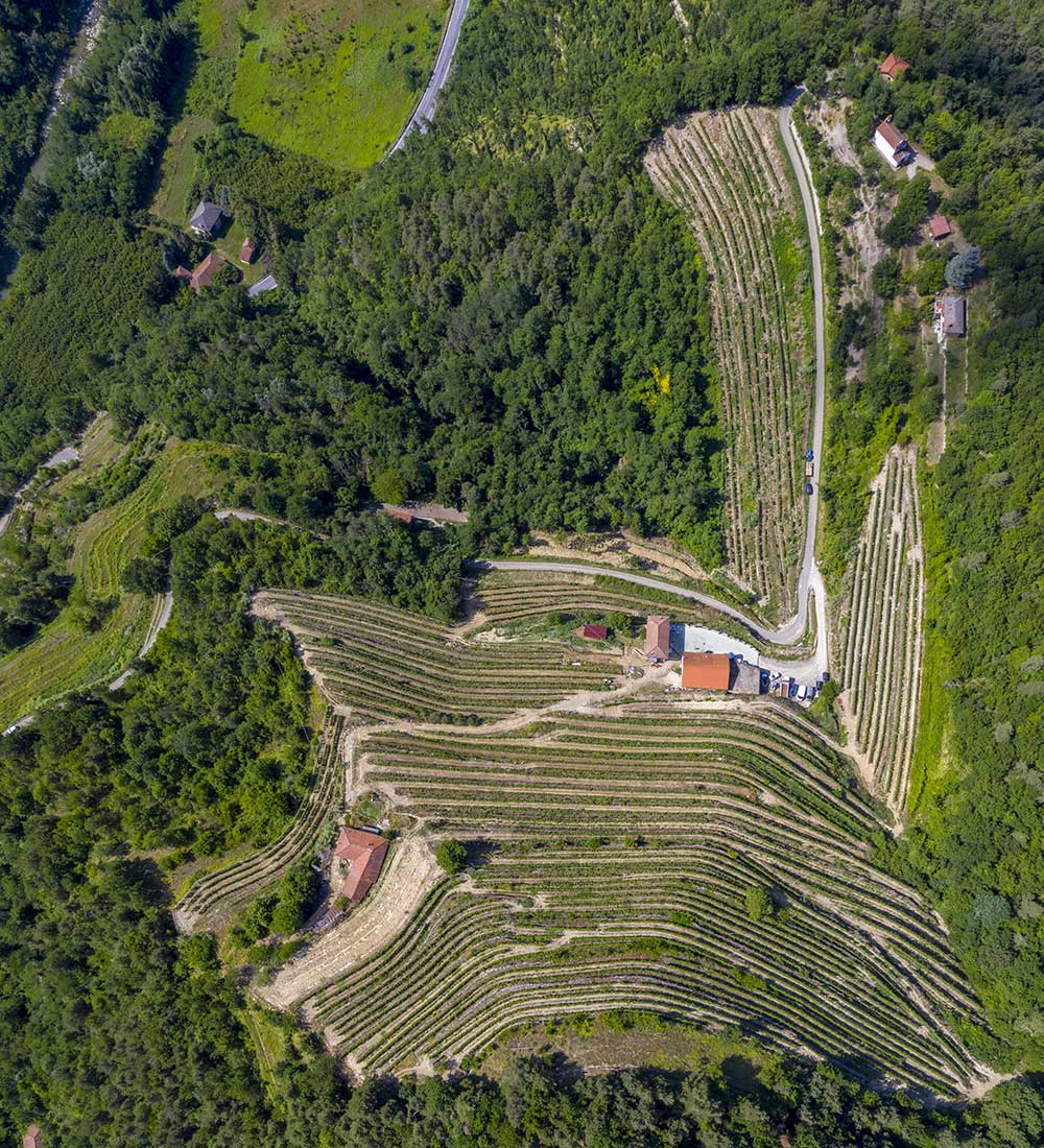 terrazzamenti-dolcetto terrazzamenti-dolcetto