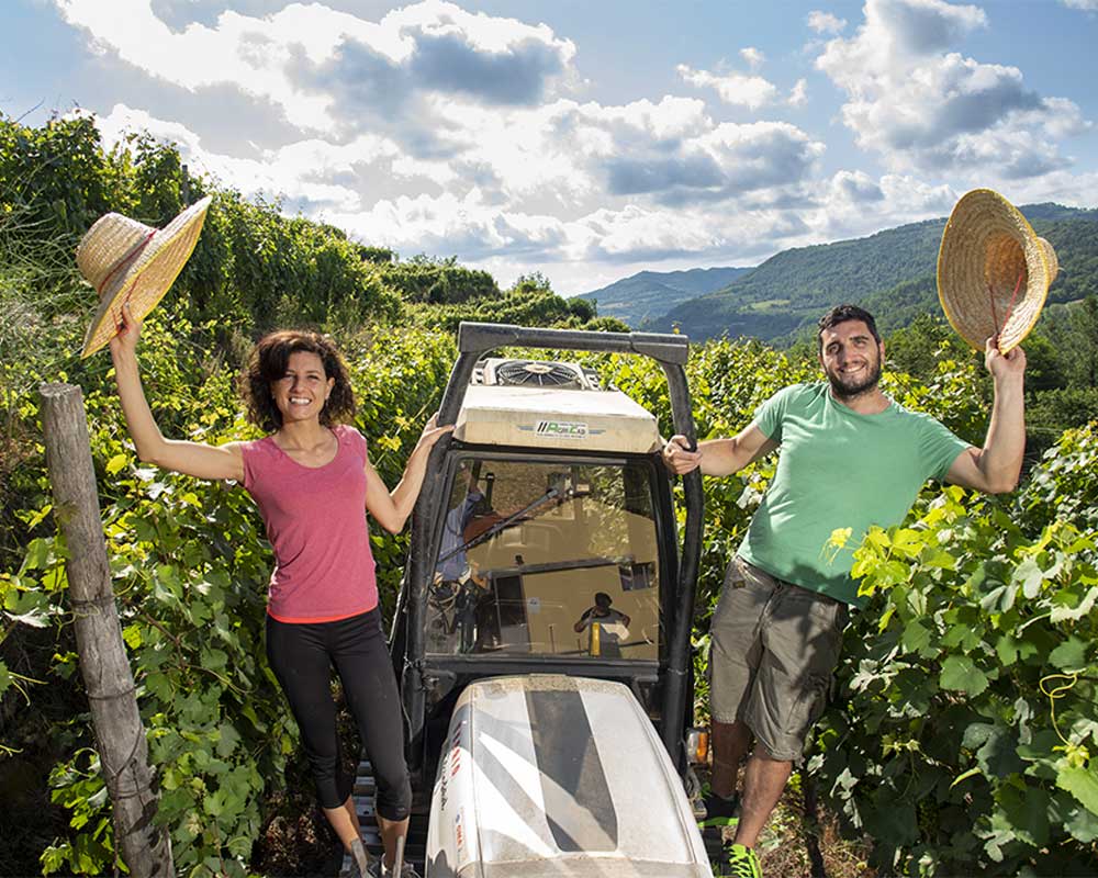 azienda-vitivinicola-patrone azienda-vitivinicola-patrone