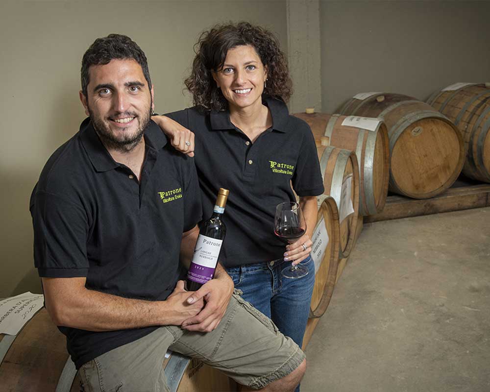 vini-alta-langa-terrazzamenti vini-alta-langa-terrazzamenti